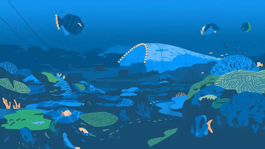 加拿大生态行动中心海洋保护区系列插画