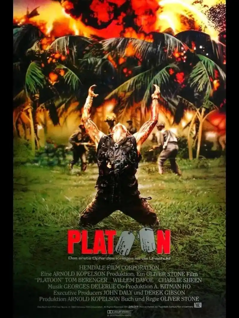 越南战争的经典电影  94《生于七月四日》 96豆瓣7.