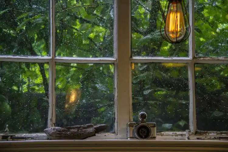 清新治愈生活安静唯美摄影文艺森系植物花卉田园优雅