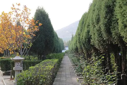 石家庄古中山国陵园在哪墓地价格是多少