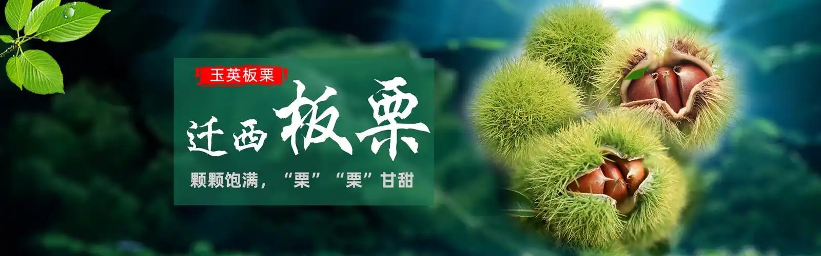 盘锦板栗_盘锦栗子_盘锦板栗批发_盘锦板栗厂家_盘锦板栗价格-迁西县