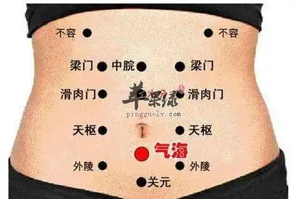 腹部穴位(图)