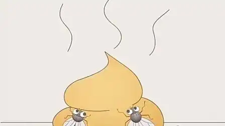 苍蝇吃屎也有讲究