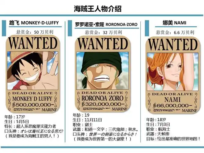海贼王人物介绍ppt