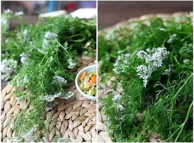 原料:清水1500克 盐140克 冰糖78克 姜110克 蒜2个 白醋56克配菜:胡