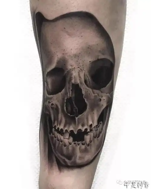 手臂欧美黑灰写实骷髅头纹身手稿