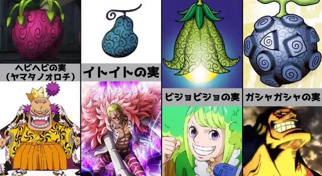 海贼王:恶魔果实大图鉴!线线果实像鸭梨,花花果实颜值爆表
