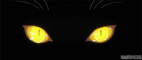 猫的眼睛图片