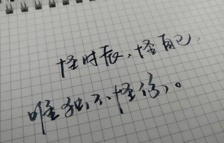 我所谓的值得回头一看全是活该.