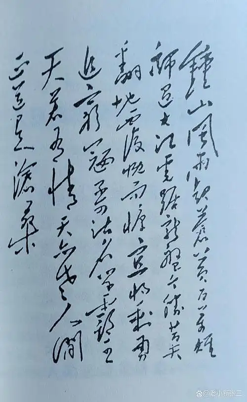 钟山风雨起苍黄