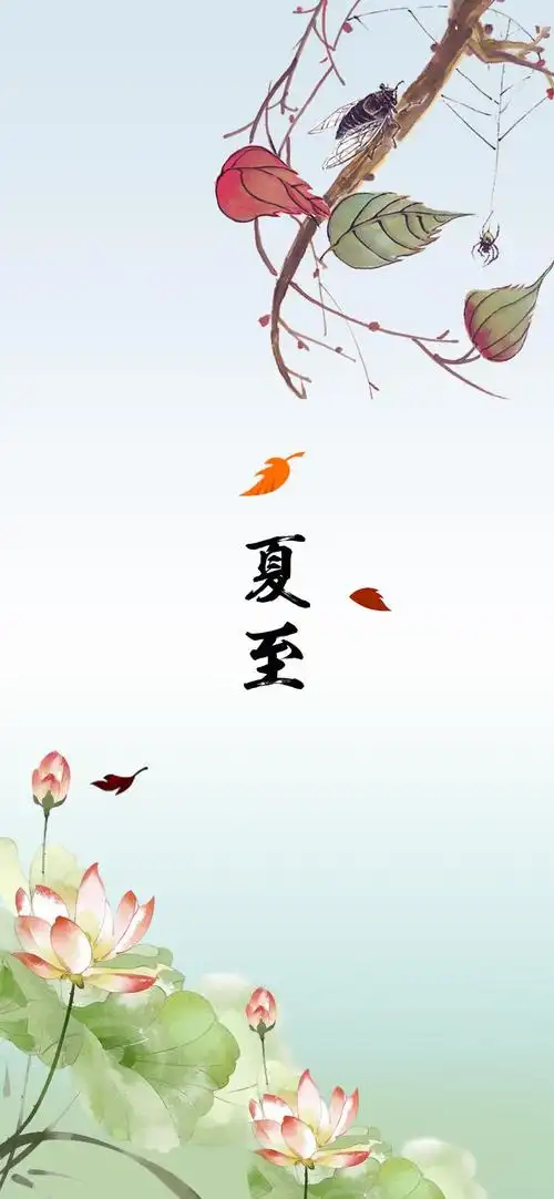 传统24节气夏至景色图片