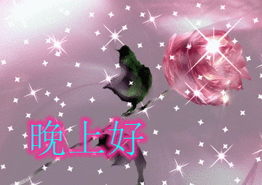 400_283gif 动态图 动图