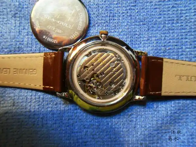 撬开后盖,拍了几张海鸥388使用的st1701机芯的图片,供大家参考