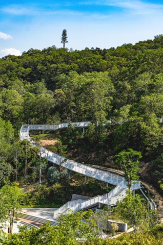 深圳最美日落在这条少有人知的空中栈道上