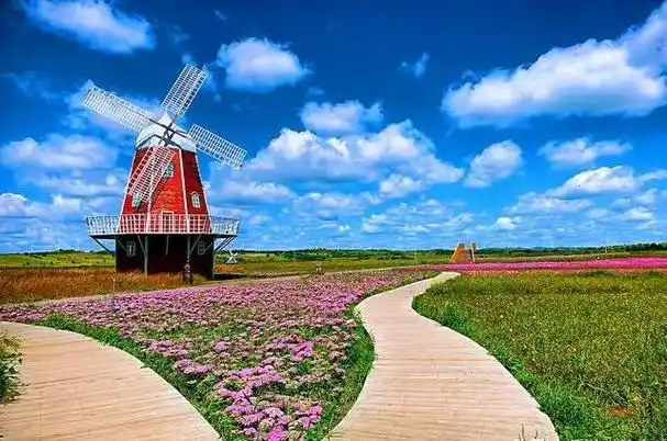 熬夜整理的承德塞罕坝草原旅游攻略与指南