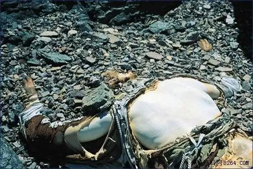 纽约时报登山者山峰之下的家庭生活图