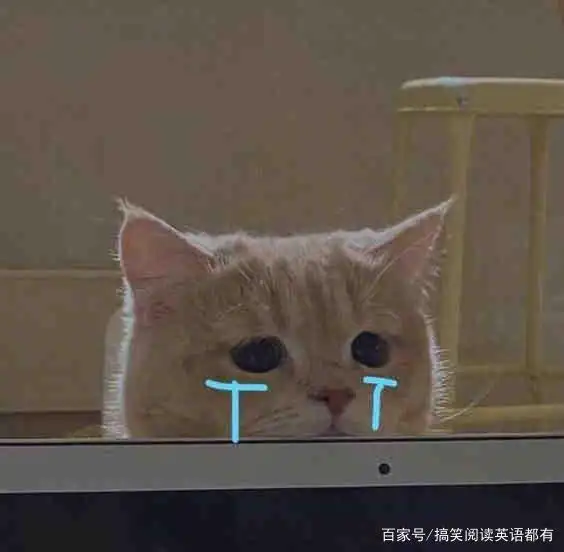 可爱小猫咪流泪表情包