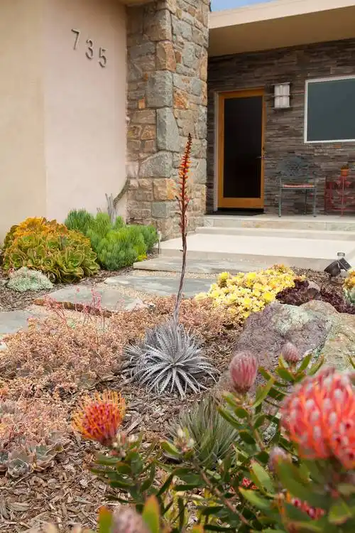 我的多肉人生,开始得很莫名其妙._庭院