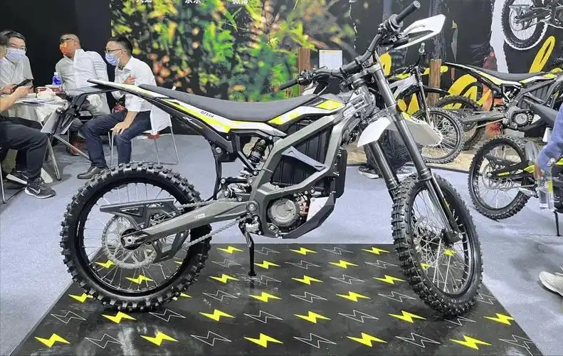 售价29980元起,虬龙新品"极蜂"亮相重庆摩博会_搜狐汽车_搜狐网