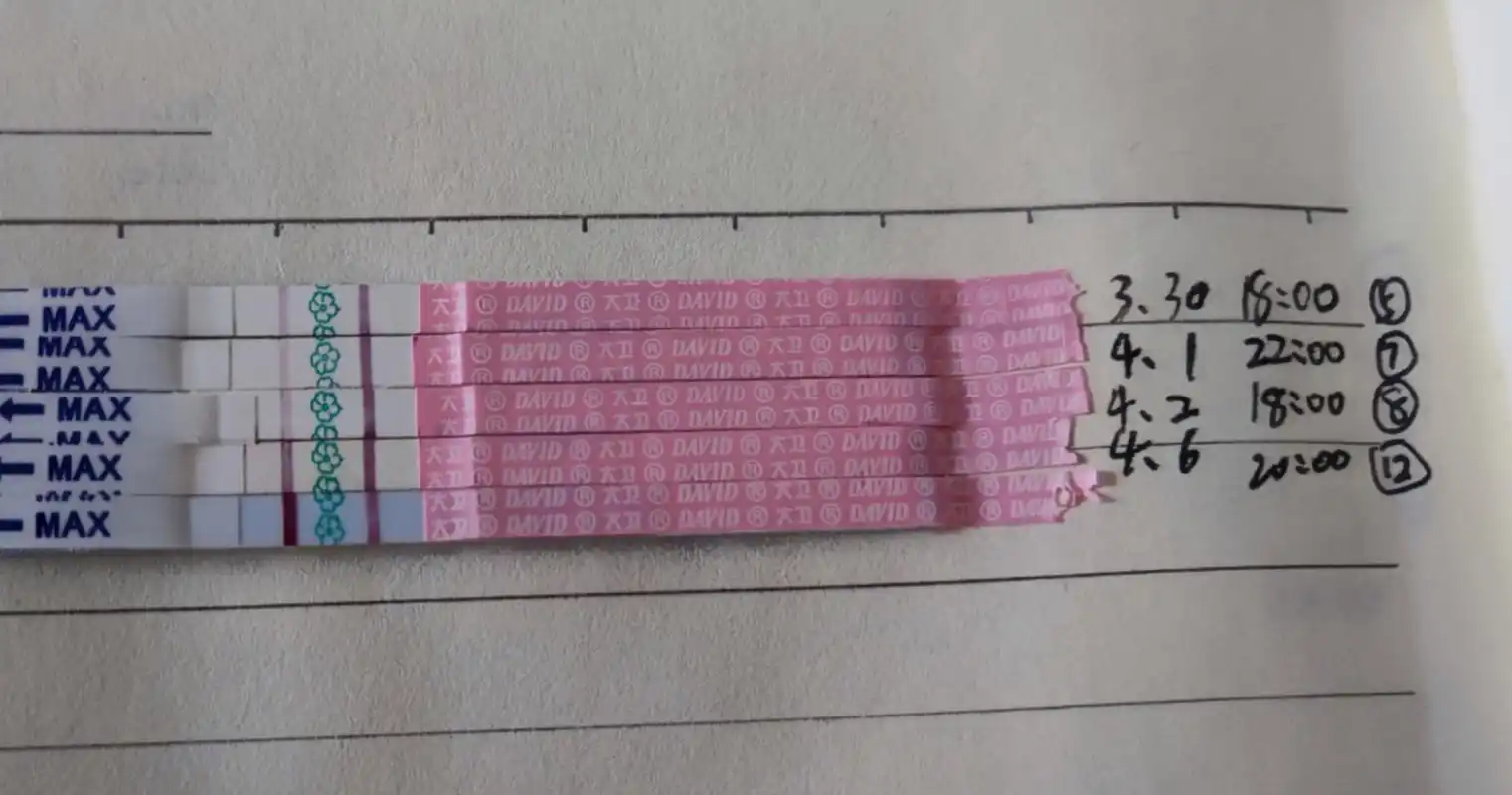 怀孕了排卵试纸果然秒强阳 我没有连续测排卵试纸,偶尔测测(最后一张)