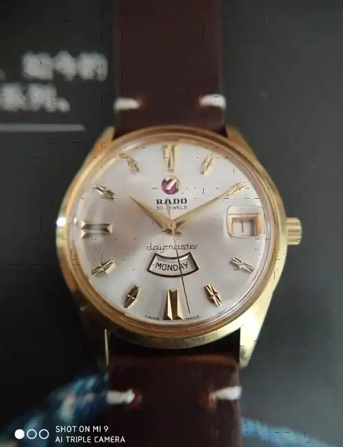 雷达海马系列:70年代双历机械男表