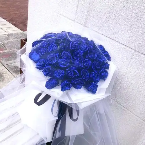 北京蓝色妖姬蓝玫瑰花束礼盒鲜花速递同城杭州南京生日上门送花店