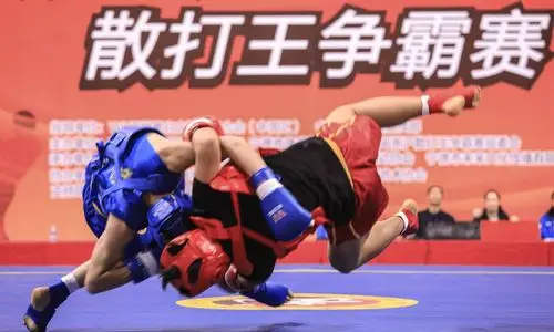 2019年wkf中国功夫闽浙沪散打王争霸赛(宁德站)-wkf世界自由搏击联合