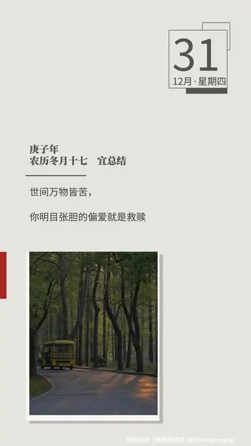 世间万物皆苦,你明目张胆的偏爱就是救赎