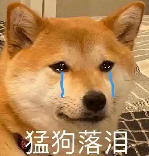 原创狗狗会哭泣吗为什么说狗哭泣不吉利