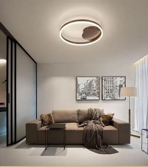 简约后现代客厅灯 大气家用高档led吸顶灯具卧室样板房北欧工业风-t