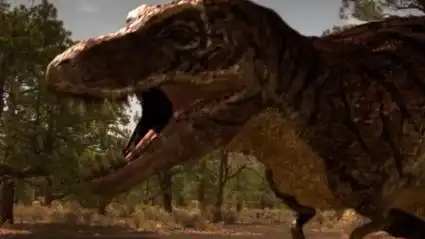 霸王龙大战矮暴龙