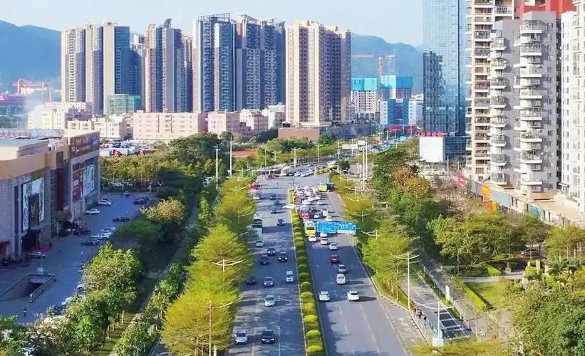 区事丨坪山街道全力打造东部中心首善街道