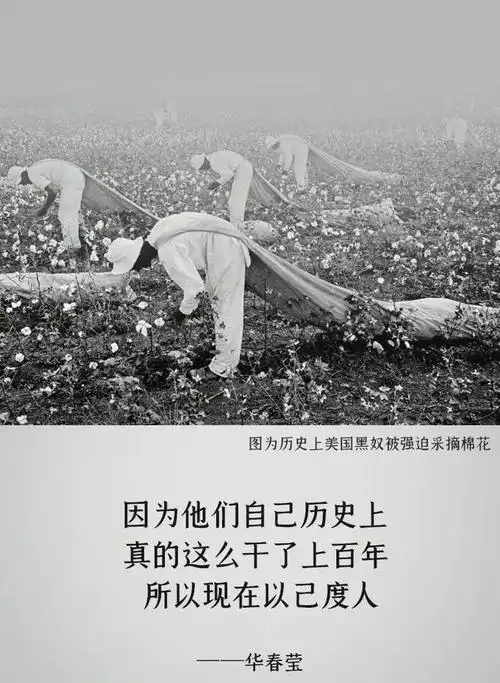 "新疆棉花"时间背后的本质原因