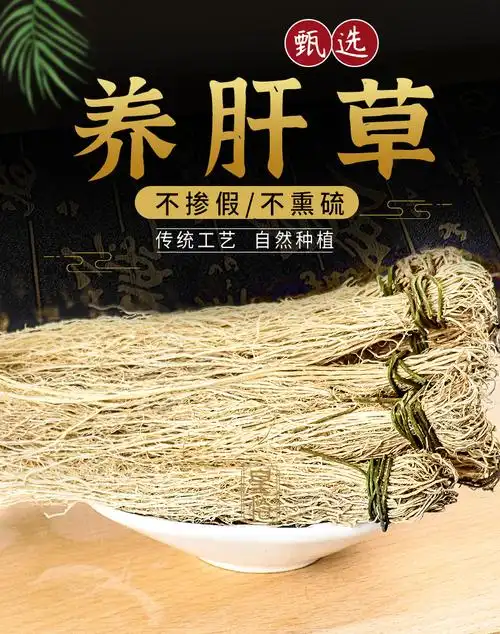 皇恰养肝草野生新鲜干货丝线根植物金草龙须草茶汤包煲汤料中药材50g