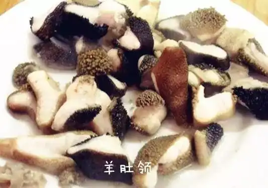 羊散丹,羊肚领,阳面肚板,阴面肚板,蘑菇儿,蘑菇儿尖,食信儿,葫芦儿,大