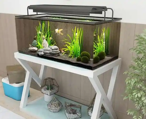 德州定制办公室鱼缸制作(家庭鱼缸)