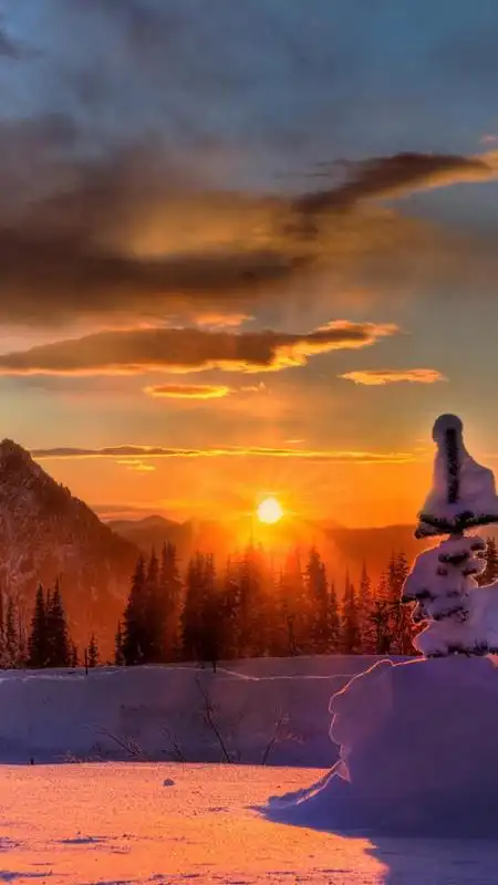 手机壁纸下载 【风景类】冬雪 540*960分辨率 高清28p