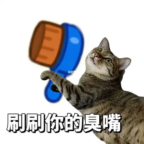 猫咪表情包羊了个羊刷刷你的臭嘴