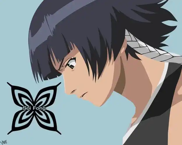 求碎蜂始解的图!