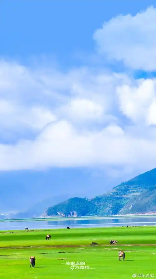 我们将云南美景放入手机壁纸中,赶快将你最喜欢的壁纸分享给你的好