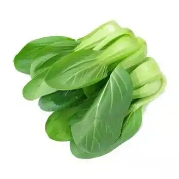 新鲜蔬菜四季青菜现采现发应季绿叶小油菜优选蔬菜青菜批发精品上海青