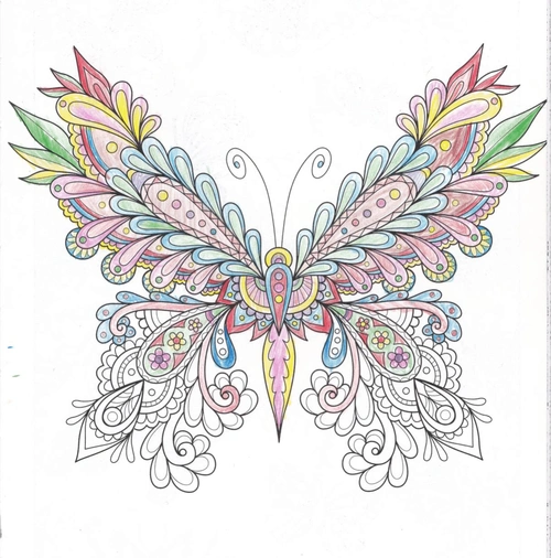 儿童涂色填色 蝴蝶