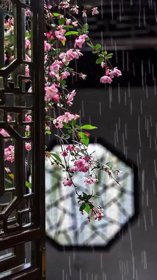 清明节夜来风雨声花落知多少冥冥重泉哭不闻萧萧暮雨人归去