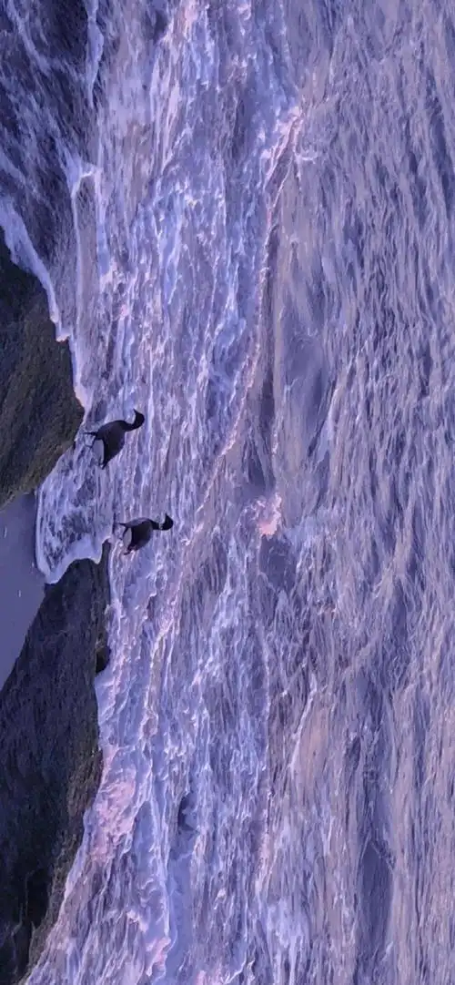 抖音精选壁纸丨全面屏壁纸