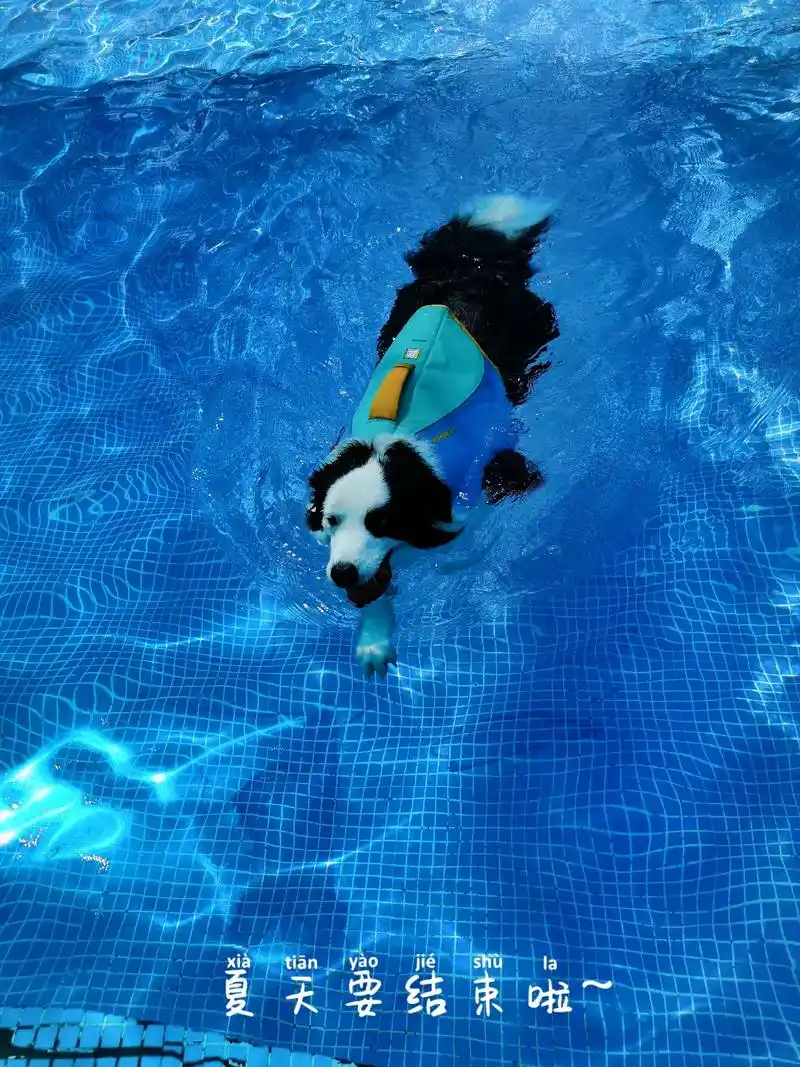 看着就很凉快的照片 - 抖音
