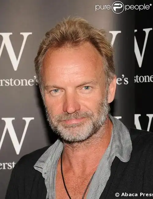 sting - 乐狗 - 乐狗的博客