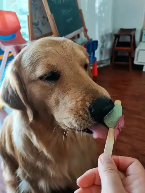 我宝吃冰棒的样子好猥琐