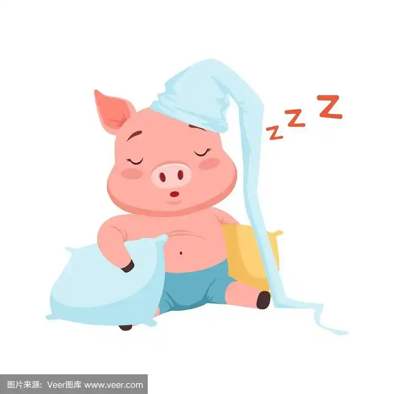 可爱的猪戴着帽子睡觉,有趣的卡通动物