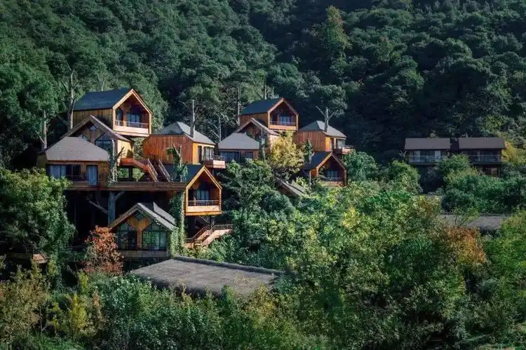 【限时特价】超级网红杭州开元森泊,低至699/晚起!不出杭州也能带娃玩