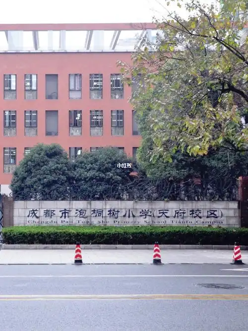 93成都市泡桐树小学(天府校区)